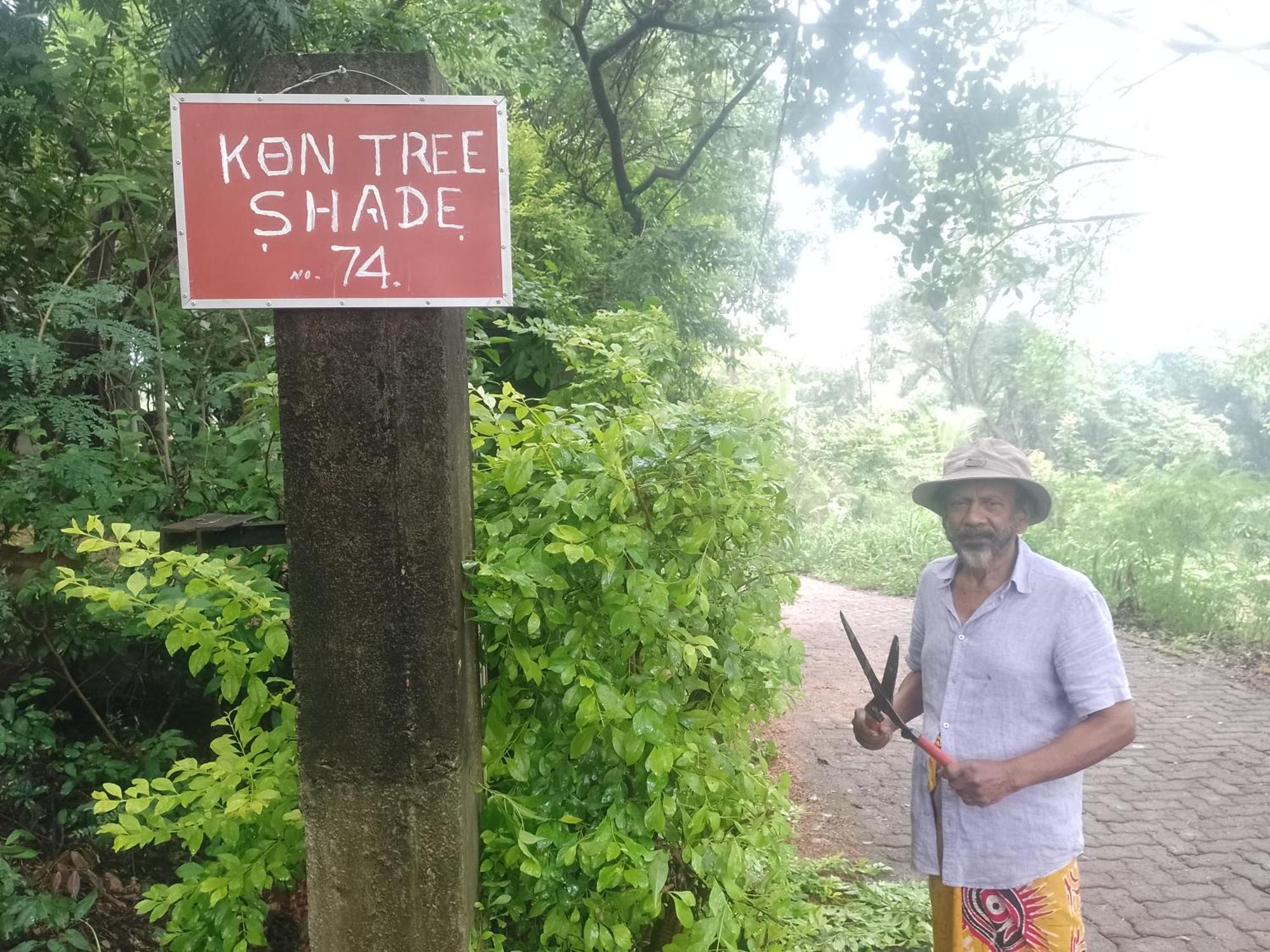 Kon Tree Shade Lägenhet Dambulla Exteriör bild